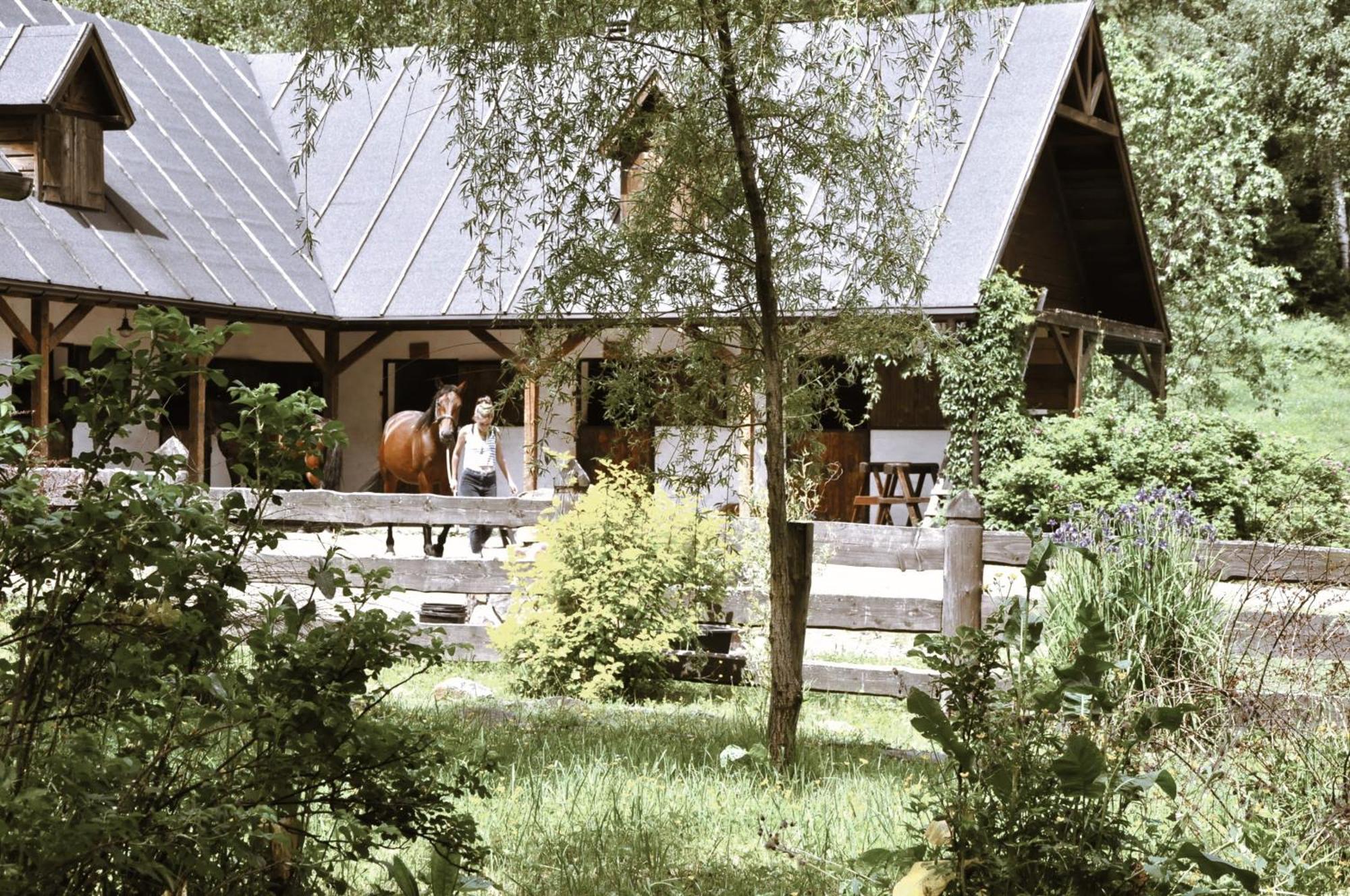 Dom W Bieszczadach Villejka Strzebowiska Exterior foto